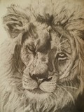 by Alison Breach