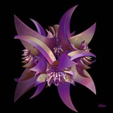 by Sara  Raber