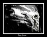 by cile bailey