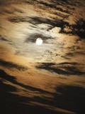 by Sharon Herne