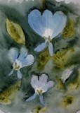 by hilary SLATER