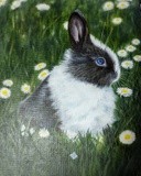 by Katya Wentz