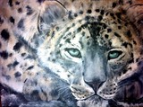 by Stacey Patterson