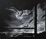 by Delores Herringshaw