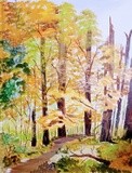 by Donald Northup