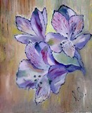by Irina Stroup
