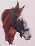 by Kirk Shepherd