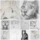 by Karlina Bacchus
