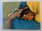 by Mary Malucci