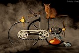 by Christopher Keough