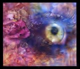 by Denise Catino