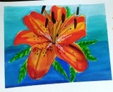 by yubirna paulino