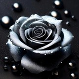 by Mihaela B