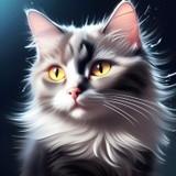 by Mihaela B