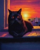 by SA KOONTZ