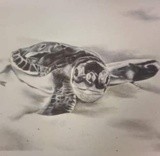 by Jack Boyle