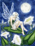 by Nedda Shishegar