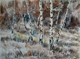 by Nino Dobrosavljevic