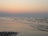 by Neha 
