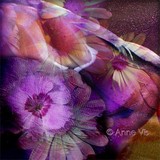 by Anne Vis