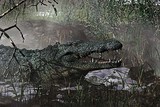 by Jun Kojima