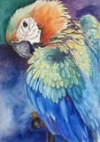 by Bev                  Chudey