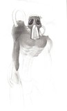 by Gretchin Burtin
