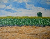 by José Ramalhão Fortunato