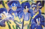 by Sylvia Jackovitch-Kallay