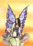 by Preston Shupp