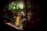 by Lisa Brewer