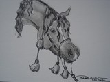 by Kelly Dorman