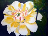 by donald penwell