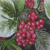 by Henny Adank