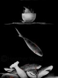 by Heather Ward