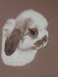by Joanne Simpson-Connor