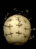 by Braettie Ledezma
