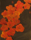 by Terri Mazurak
