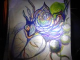 by Devona Schofield