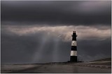 by wim denijs