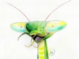 by Alan J. Lewis
