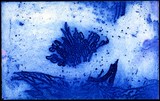 by heidy Waywell
