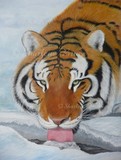 by Sharlene Bruce