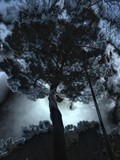 by gianantonio zago marino