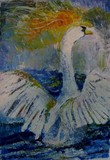 by Shakeh Sarookhanian