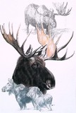 by Barbara Keith