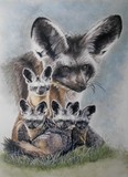 by Barbara Keith