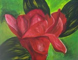 by dawnae zobrist