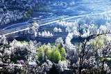 by Xiao zhuhua