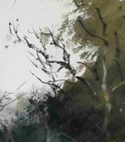by Xiao zhuhua